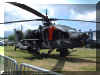AH-64_USA_03.jpg (110745 bytes)