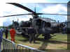 AH-64_USA_08.jpg (107240 bytes)