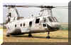 CH-46_Sea_Knight_USA_09.jpg (125413 bytes)