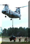 CH-46_Sea_Knight_USA_10.jpg (48453 bytes)