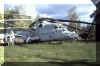 Mi-6_Hook_Russia_15.jpg (78711 bytes)