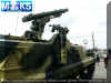 BMP-3_Krizantema_MAKS_2003_Russia_10.jpg (81248 bytes)