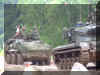 Pandur_Wheeled_Armoured_vehicle_Austria_01.jpg (142999 bytes)
