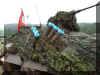Pandur_Wheeled_Armoured_vehicle_Austria_04.jpg (120897 bytes)