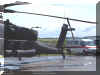 AH-64_Netherlands_12.jpg (81697 bytes)