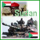 Sudan Sudanese army land ground forces military equipment armoured armored vehicle intelligence pictures Information description pictures technical data sheet datasheet