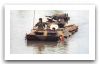 yw_534_type_85_tracked_armoured_vehicle_personnel_carrier_005.jpg