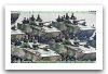 zbd-04_zbd97_armoured_infantry_fighting_combat_tracked_armoured_vehicle_China_Chinese_army_007.jpg