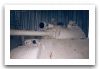 Type_59_main_battle_tank_char_china_chine_016.jpg