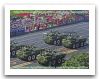 ZBD-09_wheeled_armoured_infantry_fighting_combat_vehicle_with_30mm_gun_two_man_turret_China_Chinese_army_012.jpg