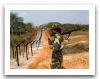 Indian_Army_Soldier_India_03.jpg