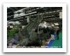 LWSPH_Singapore_Technologies_Kinetics_wheeled_self-propelled_howitzer_Singaporean_army_012.jpg