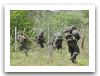 Sri_Lankan_Army_soldier_commando_Sri_lanka_07November2008_news_003.jpg