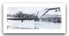 AM-50_truck_8x8_launching_bridge_engineer_vehicle_Czech_Army_Republic_007.jpg