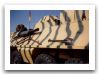 OT-64_wheeled_armoured_vehicle_personnel_carrier_Czech_Army_Republic_001.jpg