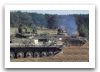 bwp-1_tracked_armoured_infantry_fighting_combat_vehicle_Polish_army_Poland_002.jpg