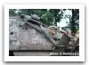 OT-64C_Skot-2ap_wheeled_armoured_vehicle_personnel_carrier_Polish_Army_Poland_007.jpg