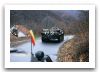 TAB_Zimbru_wheeled_armoured_vehicle_personnel_carrier_Romania_Romanian_Army_014.jpg