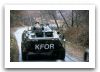 TAB_Zimbru_wheeled_armoured_vehicle_personnel_carrier_Romania_Romanian_Army_005.jpg