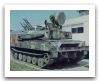 ZSU-23-4_anti-aircraft_air_defense_tracked_armoured_vehicle_self-propelled_gun_Russia_Russian_Army_016.jpg