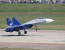 A Russian military pilot killed in a two-plane collision during a rehearsal for the MAKS-2009 air show near Moscow died because his parachute caught fire during the fall, an investigator said on Monday. The Sunday collision near Zhukovsky airfield, east of Moscow, involved two Su-27 Flanker jet fighters from Russia's elite aerobatics group Russkiye Vityazi (Russian Knights). All three pilots ejected, and two of them were later found on the ground in serious but satisfactory condition. The dead pilot was identified as Col. Igor Tkachenko, 45, commander of the Russian Knights. According to preliminary investigations, the accident was most likely caused by pilot error during an aerobatics maneuver, although the possibility of a technical failure has not been ruled out. The organizer of the MAKS-2009 air show said on Sunday the tragedy would not delay the show, scheduled to start on Tuesday. "MAKS will not be postponed. Although there may be changes to the program of flights, all aerobatic teams - three Russian and two foreign ones - will perform," said Vladimir Borisov, general director of the Aviasalon firm.