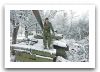 T-62_main_battle_tank_Russian_Russia_army_052.jpg