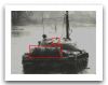 T-62_main_battle_tank_Russian_Russia_army_042.jpg