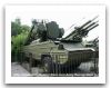 SA-8_Gecko_mobile_air_defence_wheeled_vehicle_Russian_Russia_army_001.jpg