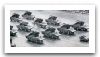 SA-8_Gecko_mobile_air_defence_wheeled_vehicle_Russian_Russia_army_010.jpg