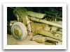 D-30_Howitzer_Russia_13.jpg