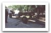 M-46_Howitzer_Russia_04.jpg