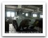 BREM-K_Wheeled_Armoured_Recovery_Vehicle_Russian_01.JPG