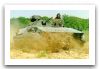 BVP_M80A_tracked_armoured_infantry_fighting_comabt_vehicle_Serbia_Serbian_army_007.jpg