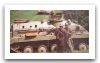 M-60P_tracked_armoured_vehicle_personnel_carrier_Serbia_Serbian_army_002.jpg