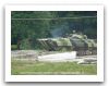 bvp-2_light_tracked_infantry_fighting_combat_armoured_vehicle_Slovak_Army_Slovakia_003.JPG