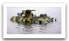btr-4_wheeled_armoured_vehicle_personnel_carrier_Ukrainian_army_Ukraine_Morozov_004.jpg