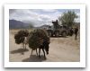 Pandur_1_I_Steyr_wheeled_armoured_vehicle_personnel_carrier_Austria_Austrian_Army_022.jpg