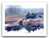 Leopard_1_main_battle_tank_Belgium_Belgian_Army_030.jpg