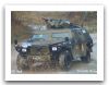 Eagle_Reconnaissance_Armoured_Vehicle_Danemark_01.jpg