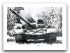 t-72m1_main_battle_tank_Finnish_Army_Finland_018.jpg