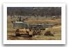 AU-F1_GCT_Self-Propelled_Howitzer_France_French_Army_026.jpg