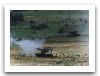AU-F1_GCT_Self-Propelled_Howitzer_France_French_Army_024.jpg