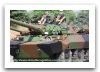 1er_regiment_etranger_cavalerie _amx-10rcr_14_july_2009_french_army_parade_france_bastille_day_005.jpg