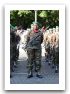 Benin_armee_beninoise_Benin_Beninese_army_France_French_14_july_juillet_2010_national_bastille_day_039.jpg