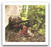 FAMAS_assault_rifle_fusil_assault_French_France_Army_020.jpg
