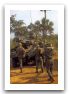 aml-90_panhard_wheeled_armoured_vehicle_french_army_France_041.jpg