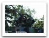 VAB_renault_20mm_gun_wheeled_armoured_infantry_fighting_vehicle_France_french_army_017.jpg