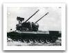 gepard_anti-aircraft_tracked_self-propelled_gun_armoured_vehicle_Germany_German_Army_005.jpg