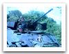 Wiesel_1_light_airborne_armoured_fighting_vehicle_20_mm_gun_Germany_German_army_015.jpg