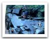 Wiesel_1_light_airborne_armoured_fighting_vehicle_20_mm_gun_Germany_German_army_016.jpg